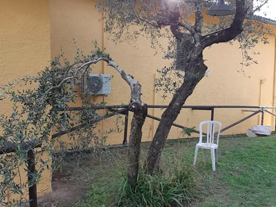 Immagine 14 di Casa colonica in vendita  a Monsummano Terme