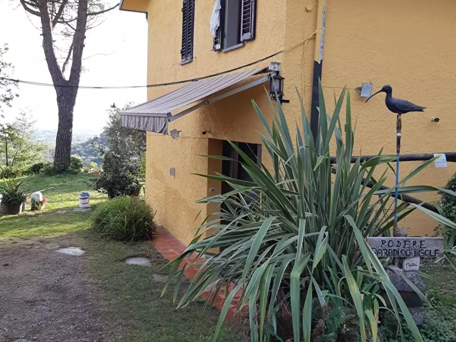 Immagine 12 di Casa colonica in vendita  a Monsummano Terme