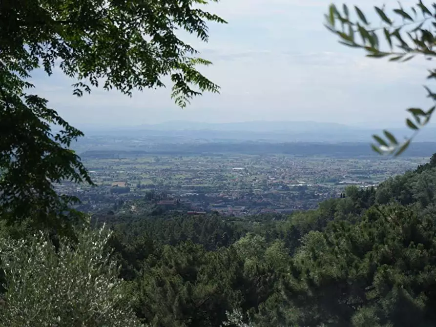 Immagine 36 di Casa colonica in vendita  a Buggiano