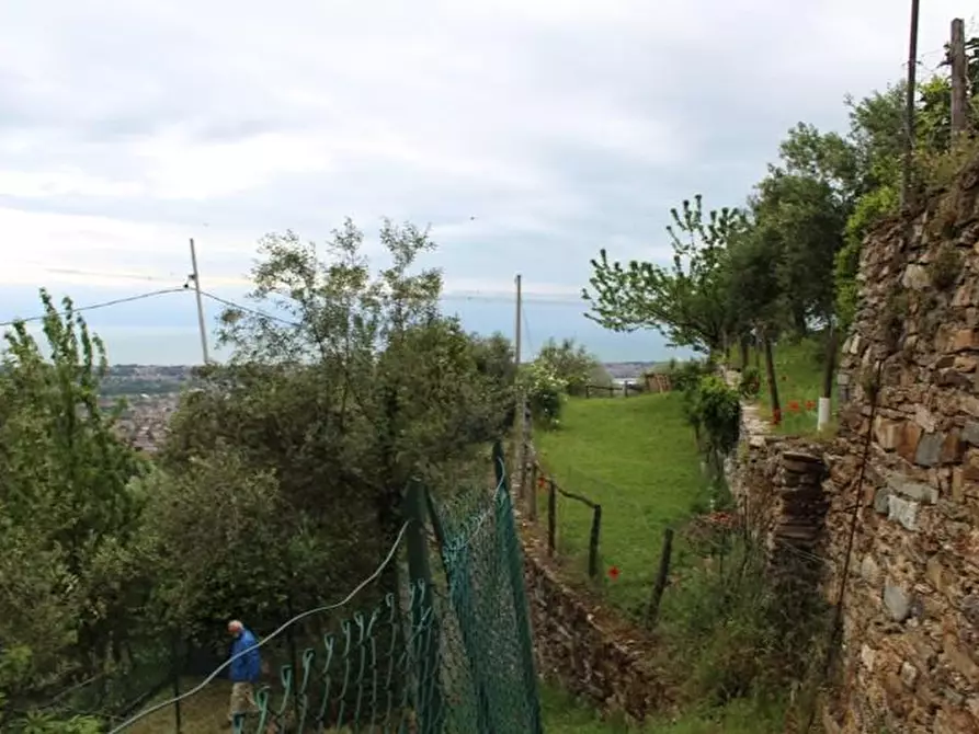 Immagine 4 di Casa colonica in vendita  a Massa