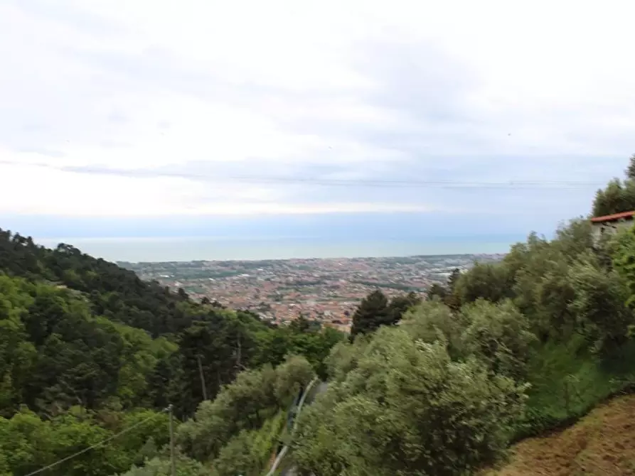 Immagine 2 di Casa colonica in vendita  a Massa