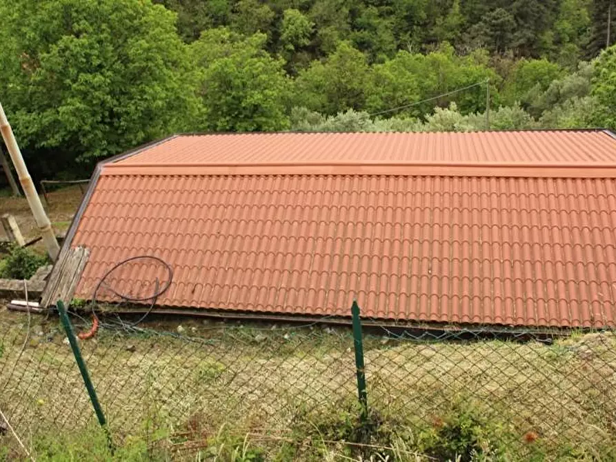 Immagine 7 di Casa colonica in vendita  a Massa