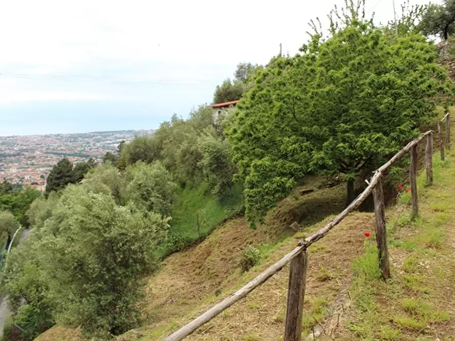 Immagine 3 di Casa colonica in vendita  a Massa
