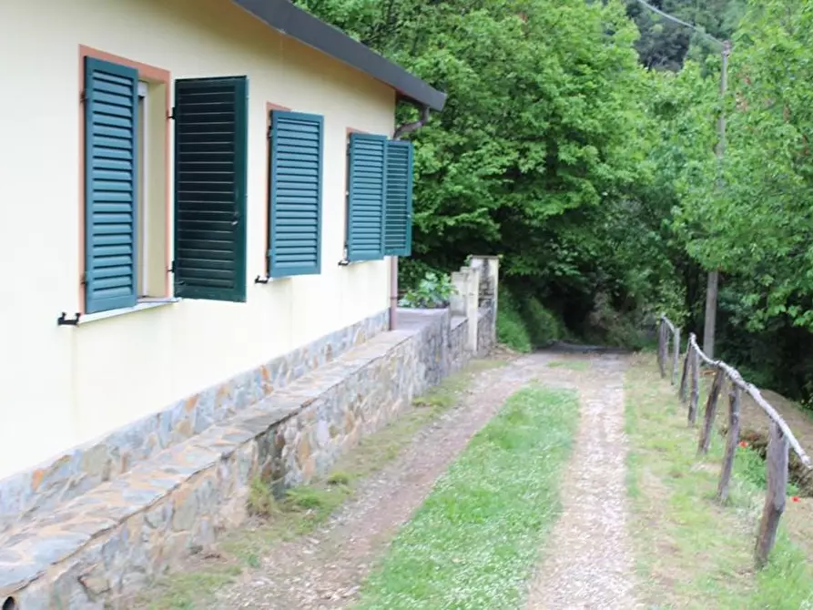 Immagine 6 di Casa colonica in vendita  a Massa