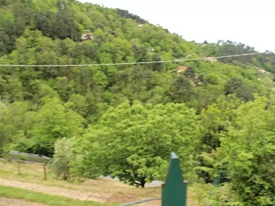 Immagine 11 di Casa colonica in vendita  a Massa