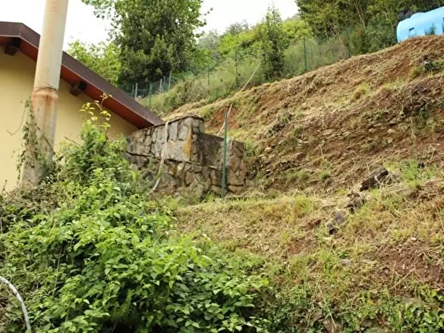 Immagine 12 di Casa colonica in vendita  a Massa