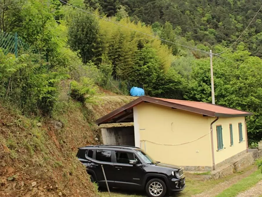 Immagine 9 di Casa colonica in vendita  a Massa