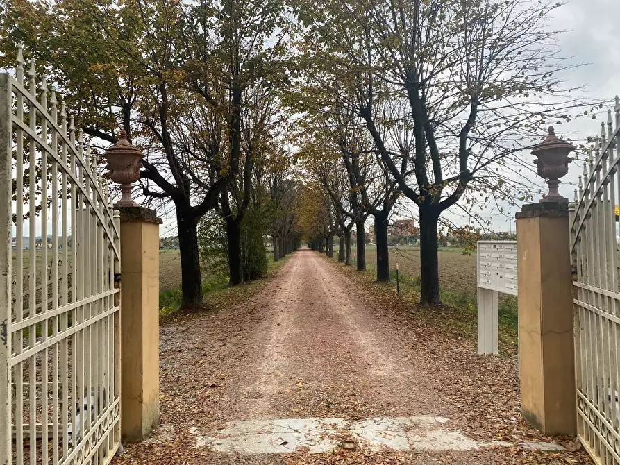 Immagine 31 di Appartamento in vendita  a Pontedera