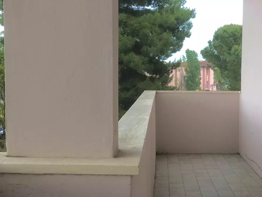 Immagine 26 di Appartamento in vendita  a Empoli