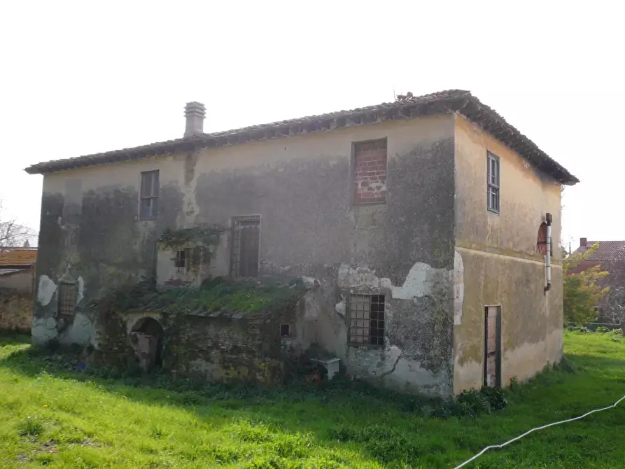Immagine 3 di Casa colonica in vendita  a Calci