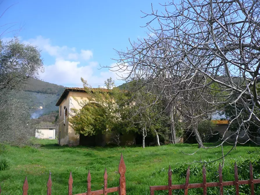 Immagine 1 di Casa colonica in vendita  a Calci