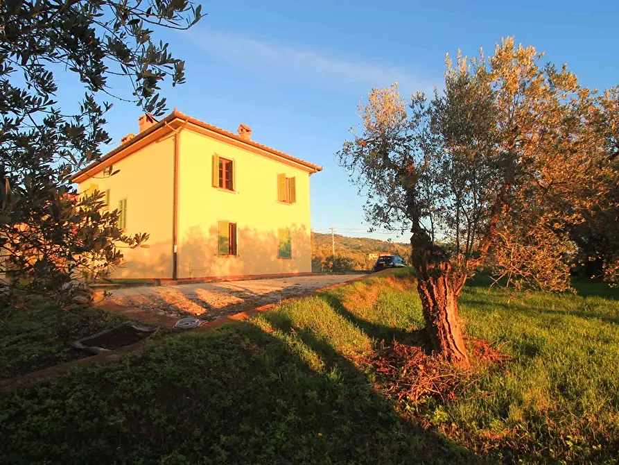 Immagine 17 di Casa colonica in vendita  a Vinci