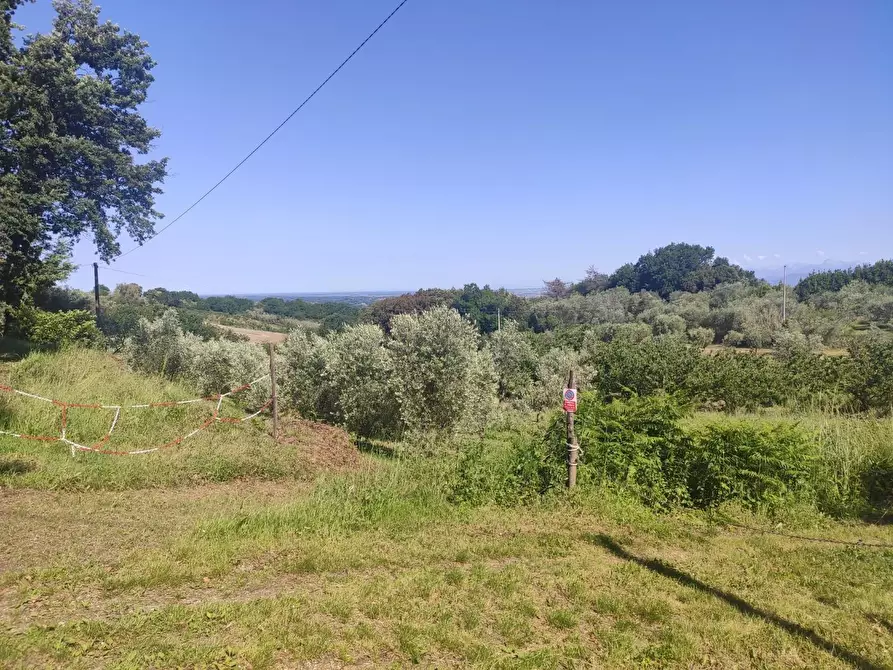 Immagine 12 di Villa in vendita  a Casciana Terme Lari