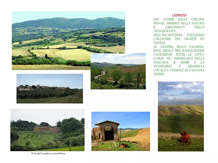 Immagine 6 di Villa in vendita  a Casciana Terme Lari