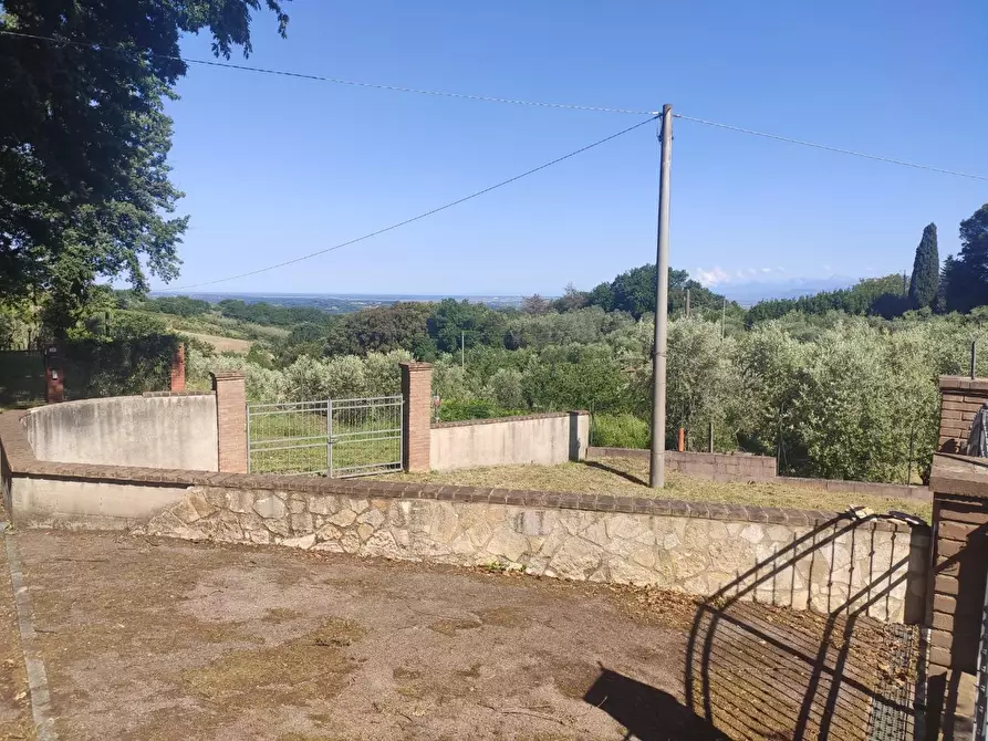 Immagine 11 di Villa in vendita  a Casciana Terme Lari