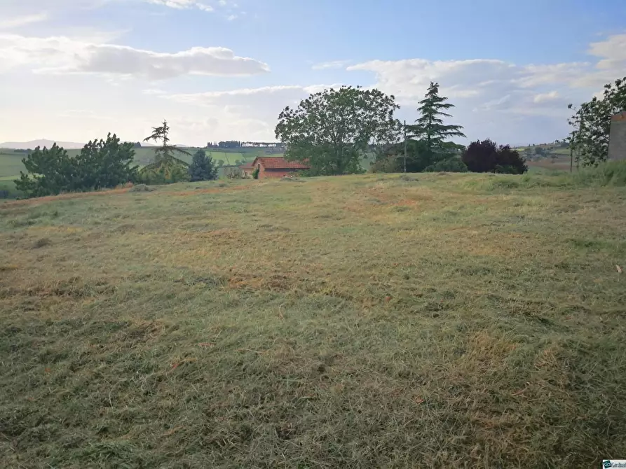 Immagine 1 di Terreno residenziale in vendita  a Terricciola