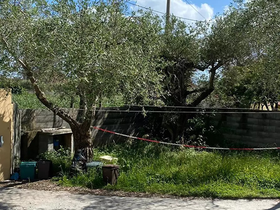 Immagine 8 di Villa in vendita  a Carrara