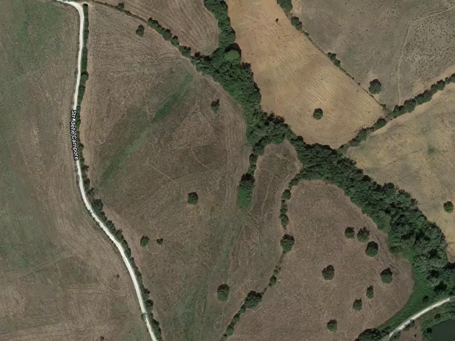 Immagine 1 di Terreno agricolo in vendita  a Grosseto