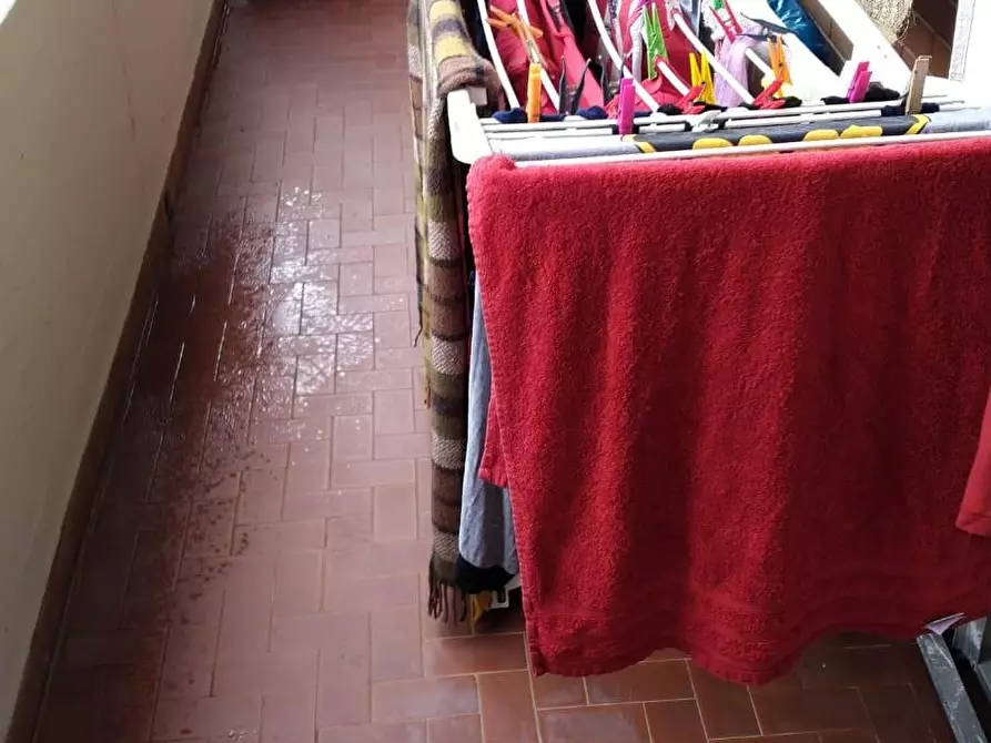 Immagine 18 di Appartamento in vendita  a Massa