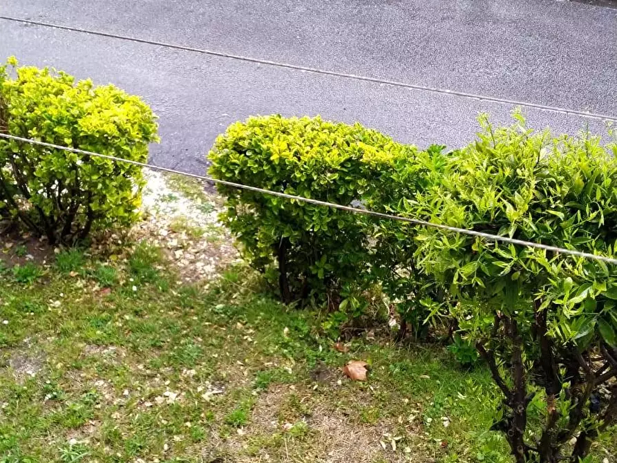 Immagine 20 di Appartamento in vendita  a Massa