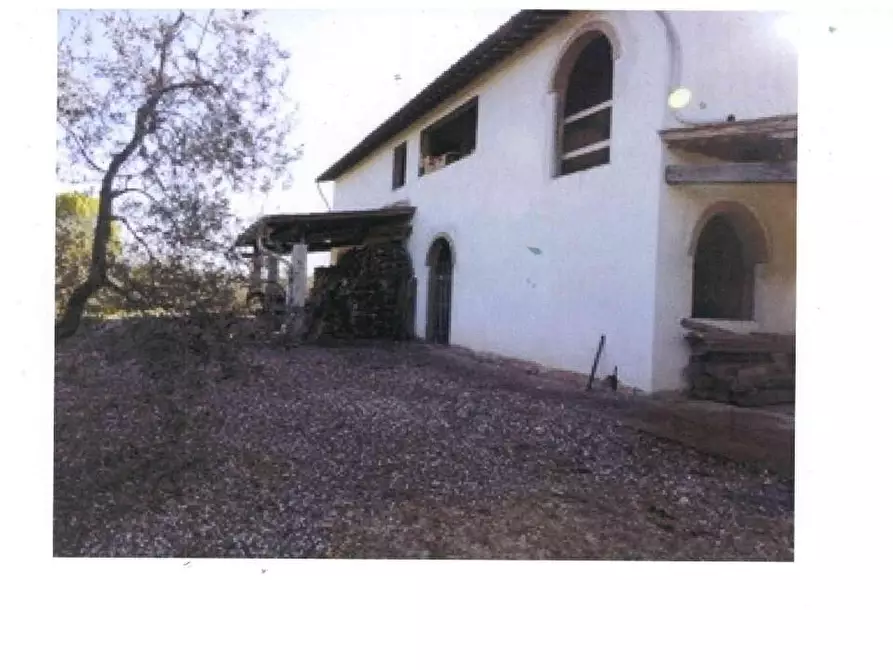 Immagine 5 di Azienda agricola in vendita  a San Miniato