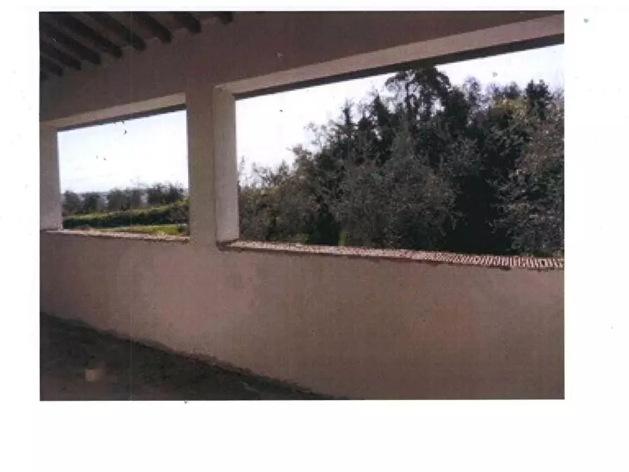 Immagine 8 di Azienda agricola in vendita  a San Miniato