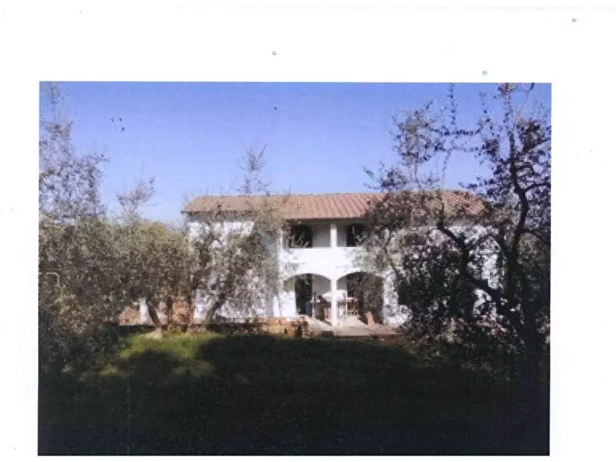 Immagine 3 di Azienda agricola in vendita  a San Miniato