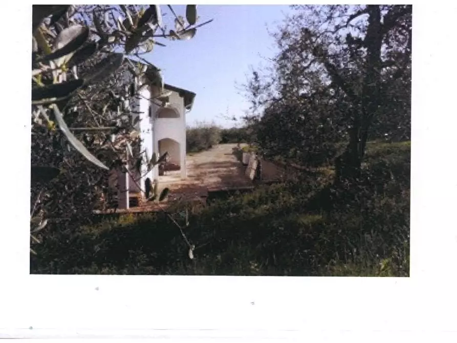 Immagine 2 di Azienda agricola in vendita  a San Miniato