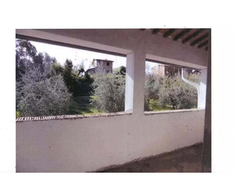 Immagine 7 di Azienda agricola in vendita  a San Miniato