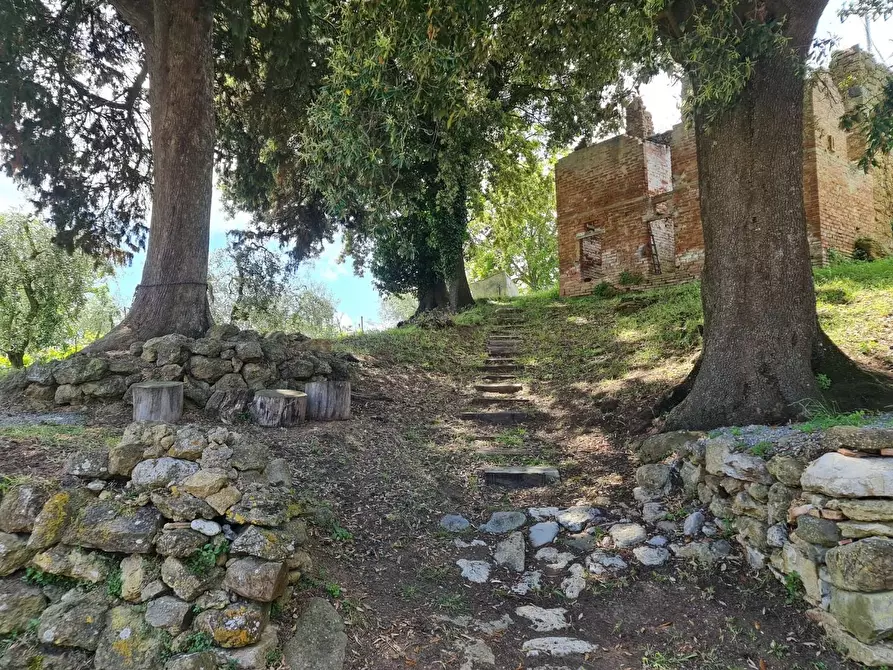 Immagine 23 di Casa colonica in vendita  a San Gimignano