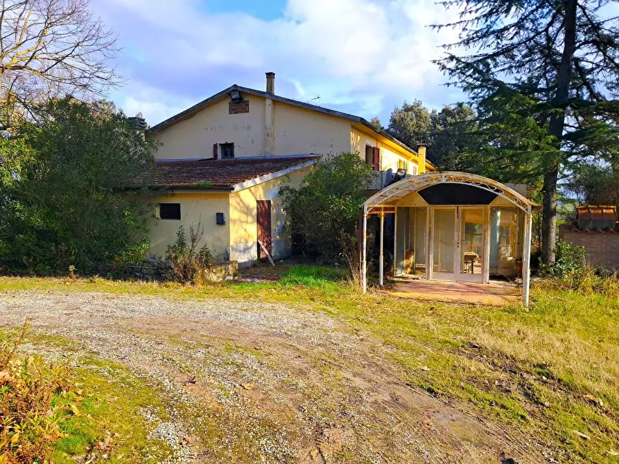 Immagine 17 di Casa colonica in vendita  a Casciana Terme Lari