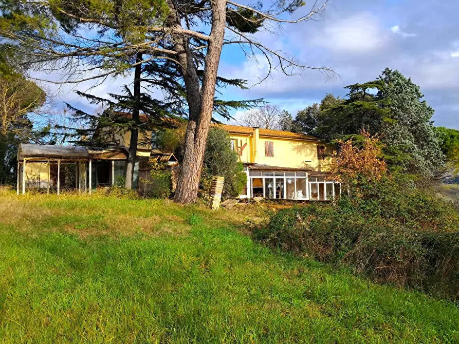 Immagine 16 di Casa colonica in vendita  a Casciana Terme Lari