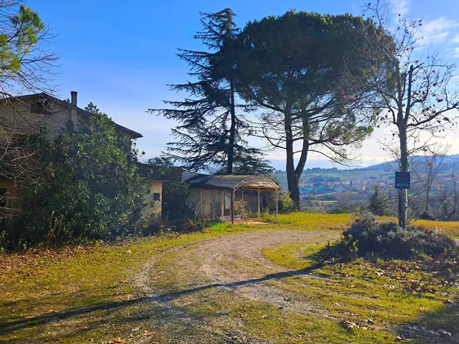 Immagine 8 di Casa colonica in vendita  a Casciana Terme Lari