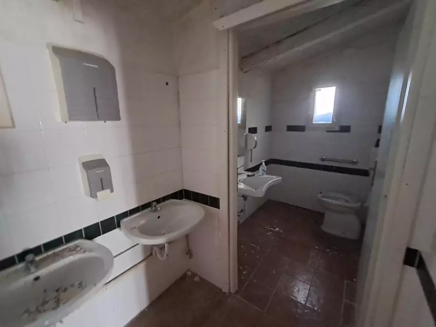 Immagine 18 di Casa colonica in vendita  a Casciana Terme Lari