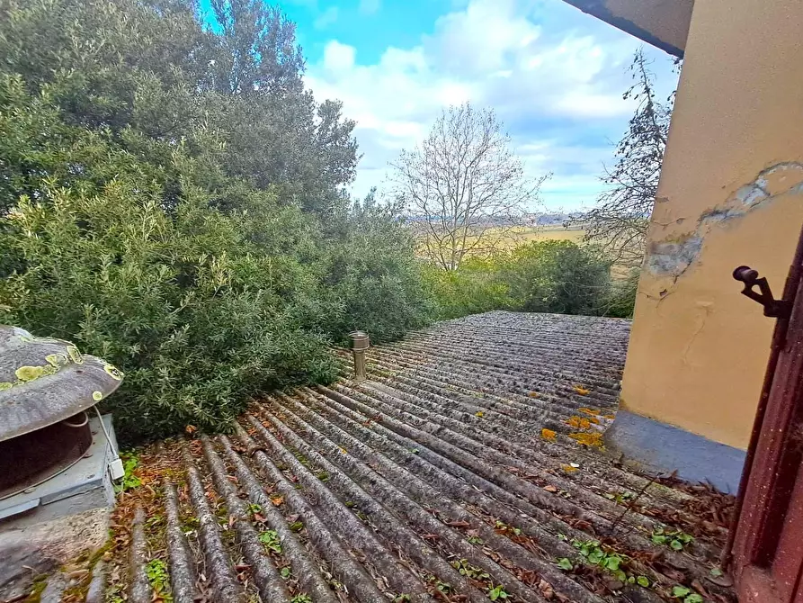 Immagine 12 di Casa colonica in vendita  a Casciana Terme Lari