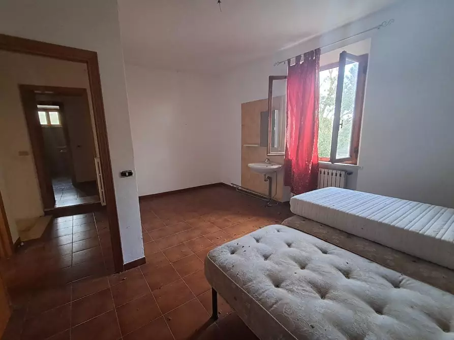 Immagine 3 di Casa colonica in vendita  a Casciana Terme Lari