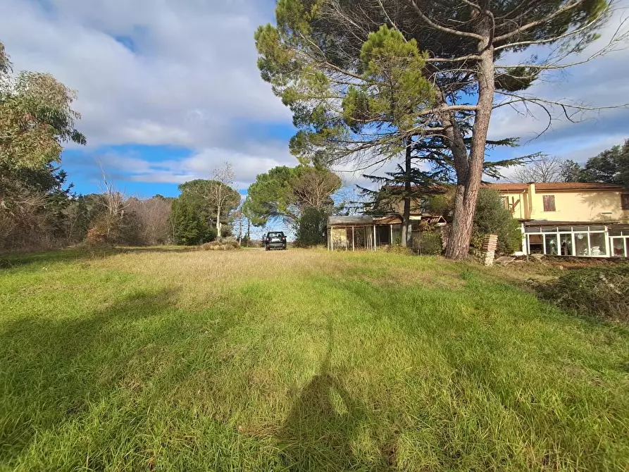 Immagine 9 di Casa colonica in vendita  a Casciana Terme Lari