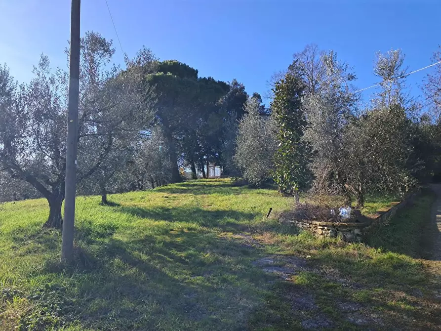Immagine 4 di Casa colonica in vendita  a Casciana Terme Lari