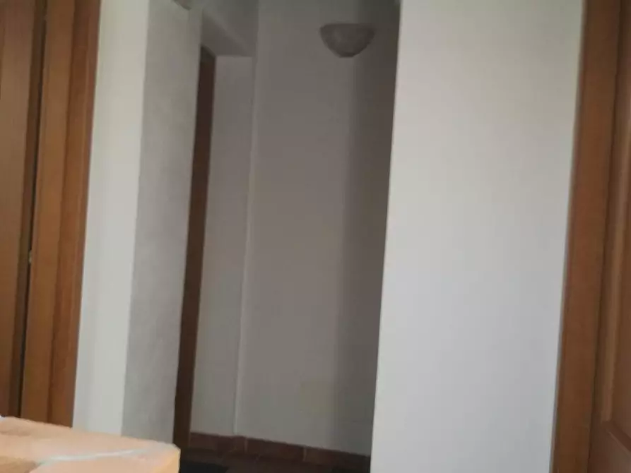 Immagine 6 di Appartamento in affitto  a Pisa