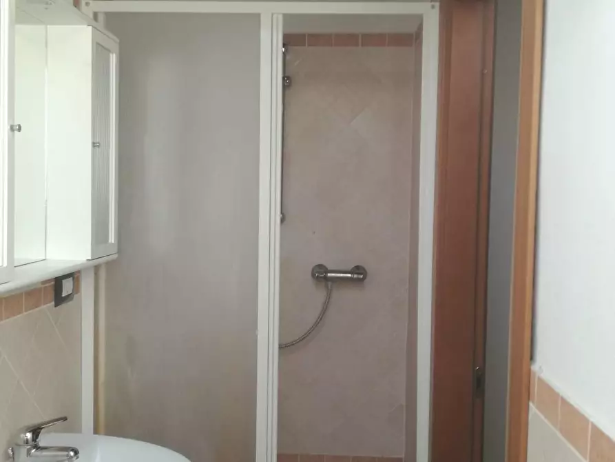 Immagine 4 di Appartamento in affitto  a Pisa