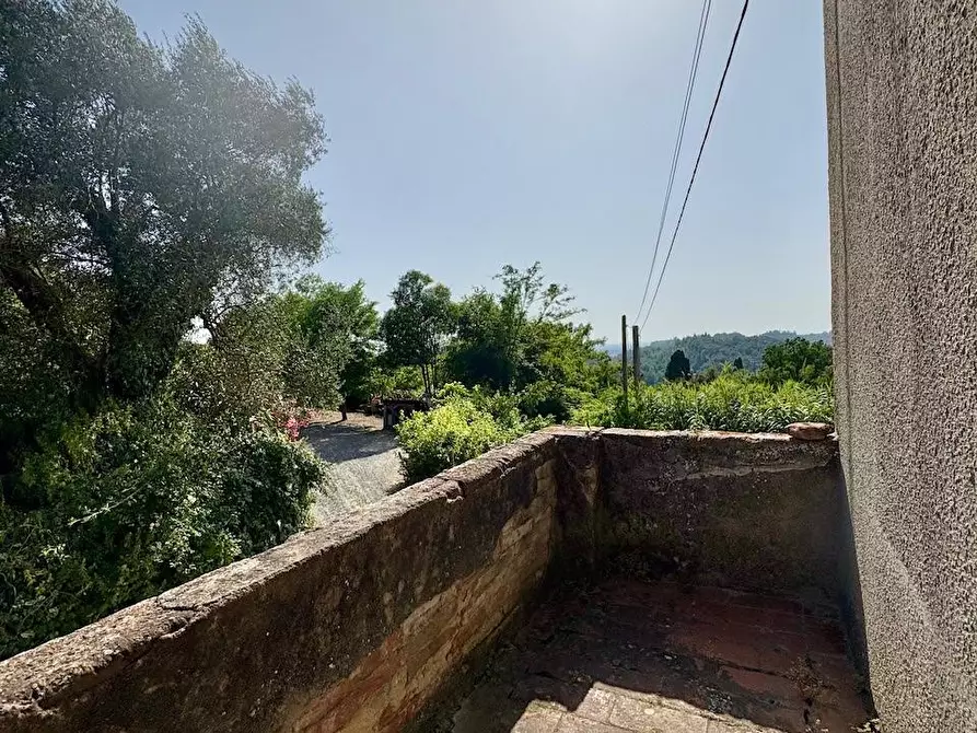 Immagine 11 di Rustico / casale in vendita  a Palaia
