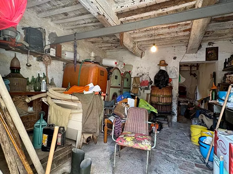Immagine 26 di Rustico / casale in vendita  a Palaia