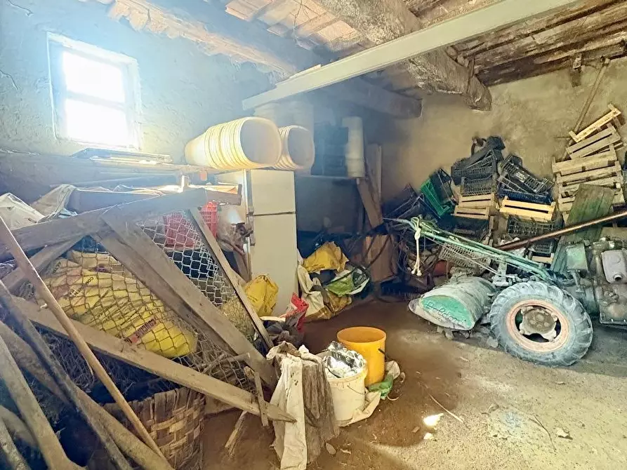 Immagine 23 di Rustico / casale in vendita  a Palaia