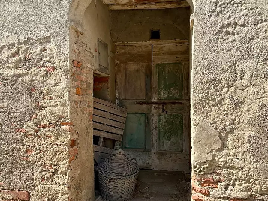 Immagine 21 di Rustico / casale in vendita  a Palaia