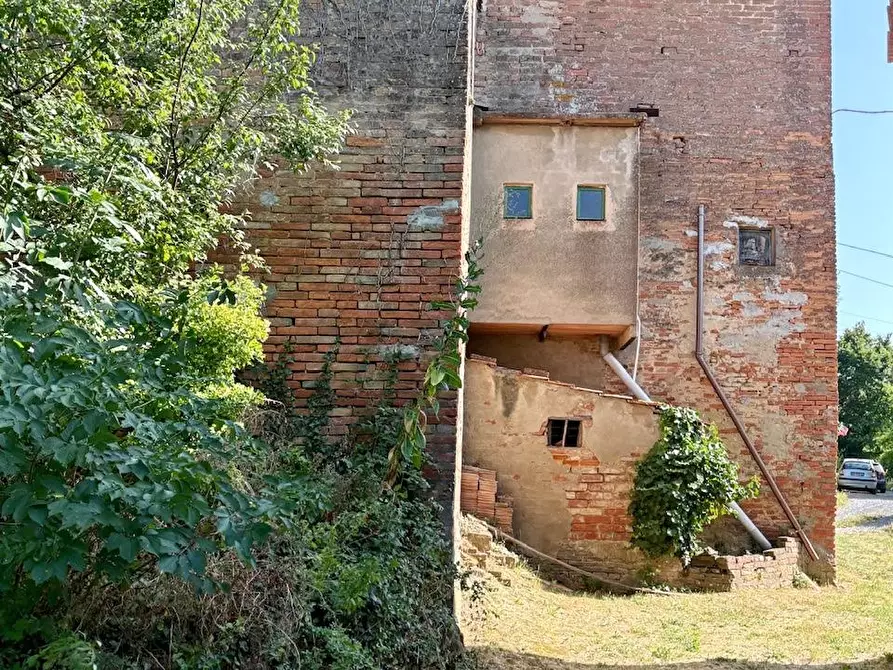 Immagine 6 di Rustico / casale in vendita  a Palaia
