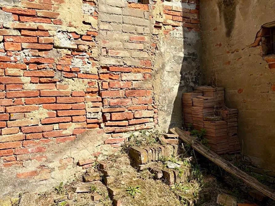 Immagine 32 di Rustico / casale in vendita  a Palaia