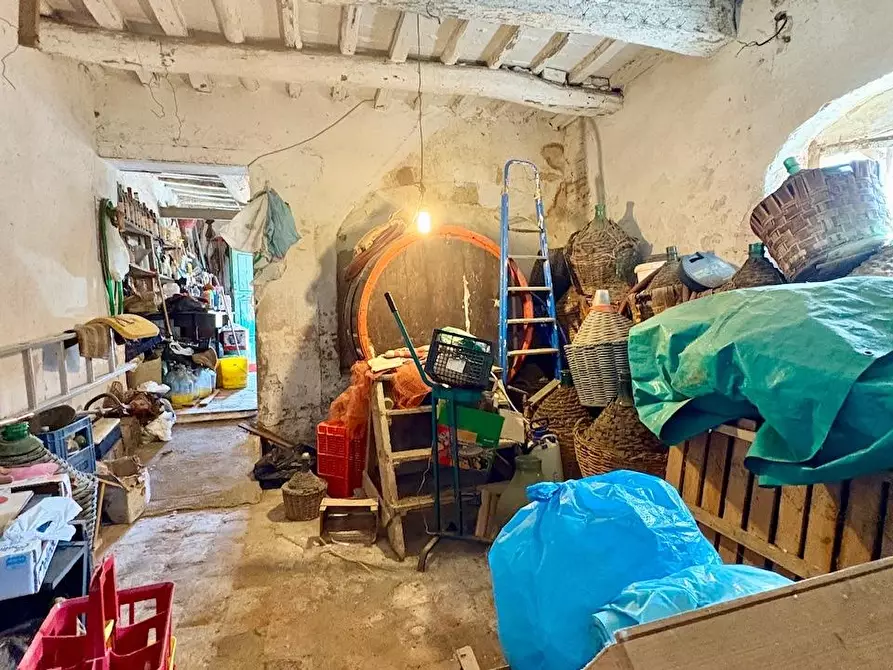 Immagine 29 di Rustico / casale in vendita  a Palaia
