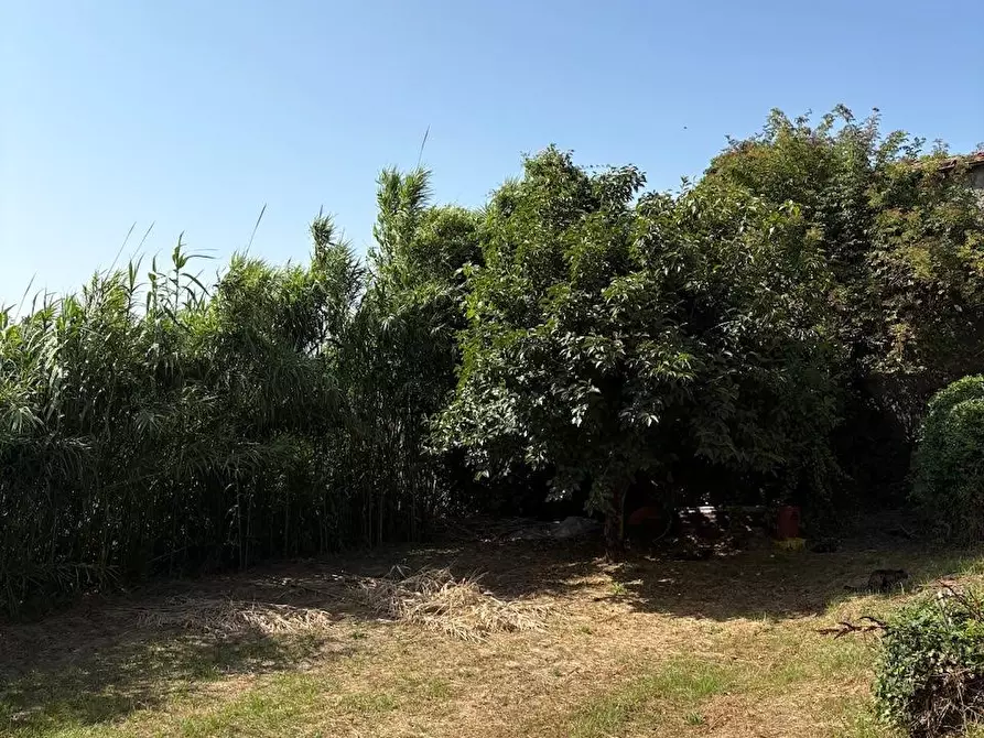 Immagine 34 di Rustico / casale in vendita  a Palaia