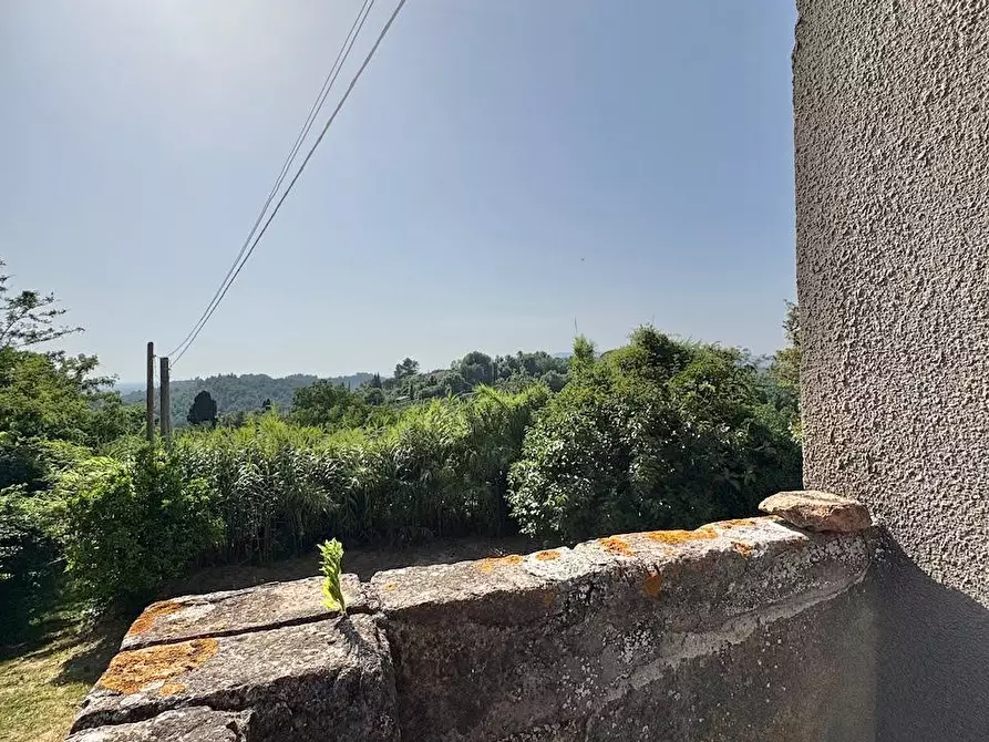 Immagine 12 di Rustico / casale in vendita  a Palaia