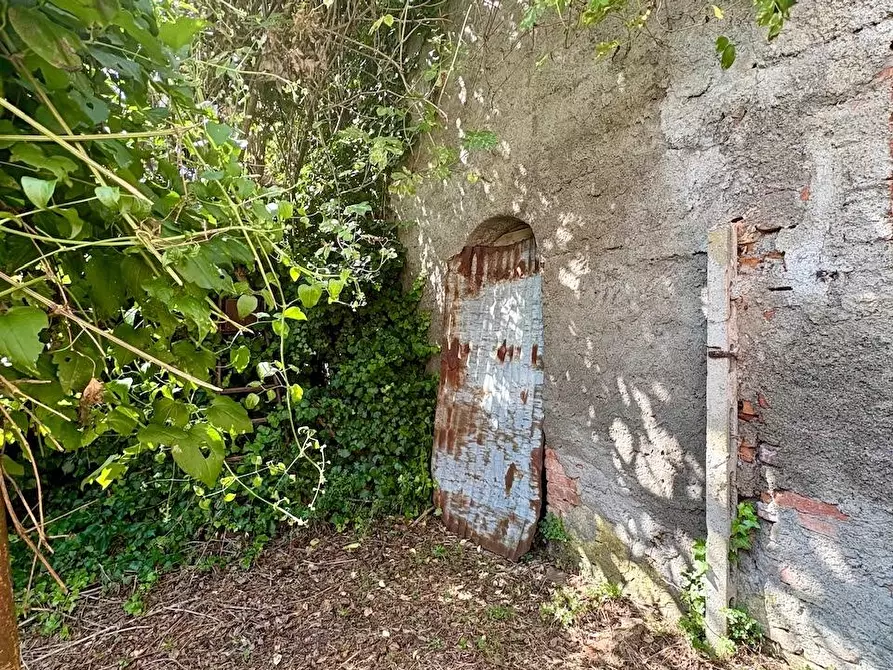 Immagine 33 di Rustico / casale in vendita  a Palaia